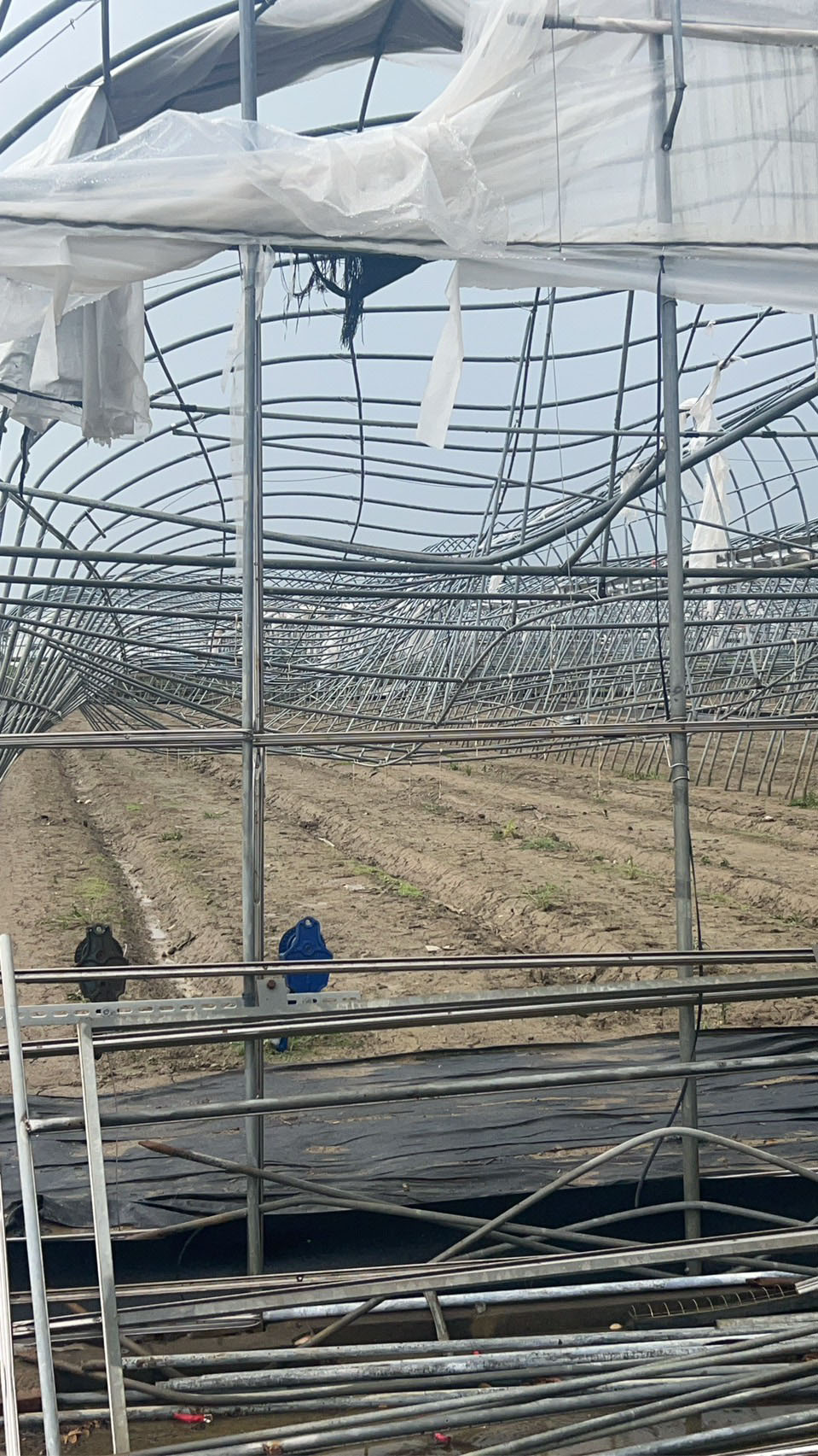 嘉義溫室拆除工程