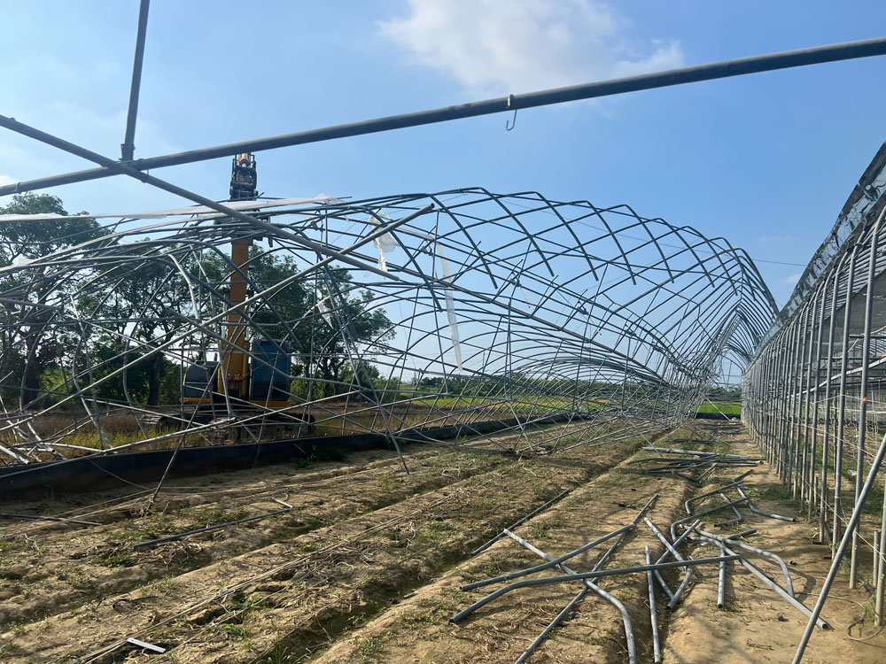 嘉義拆溫室半間