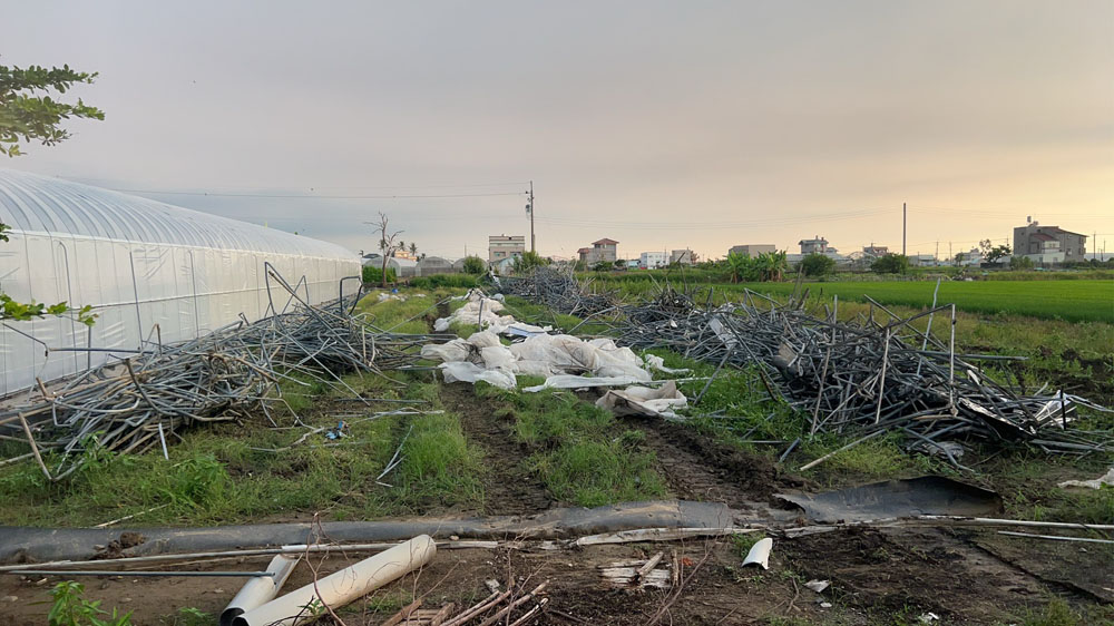 嘉義太保溫室拆除