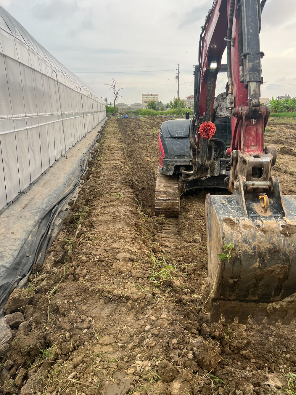 嘉義太保溫室拆除