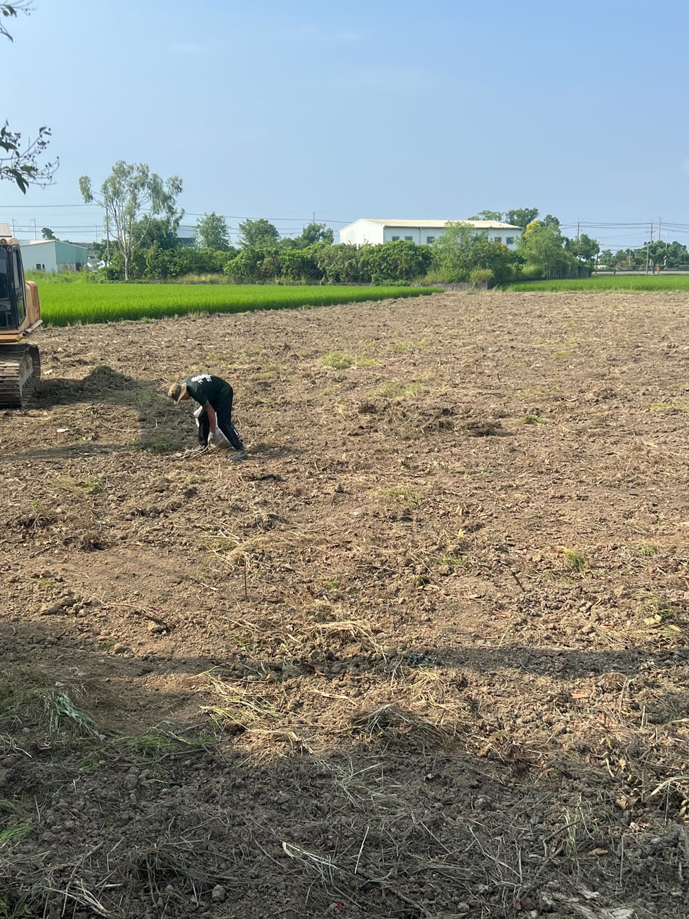 台南新營挖樹除草整地工程