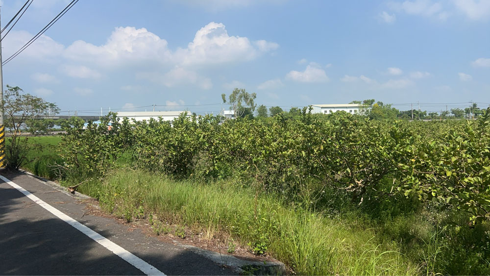 台南新營挖樹除草整地工程