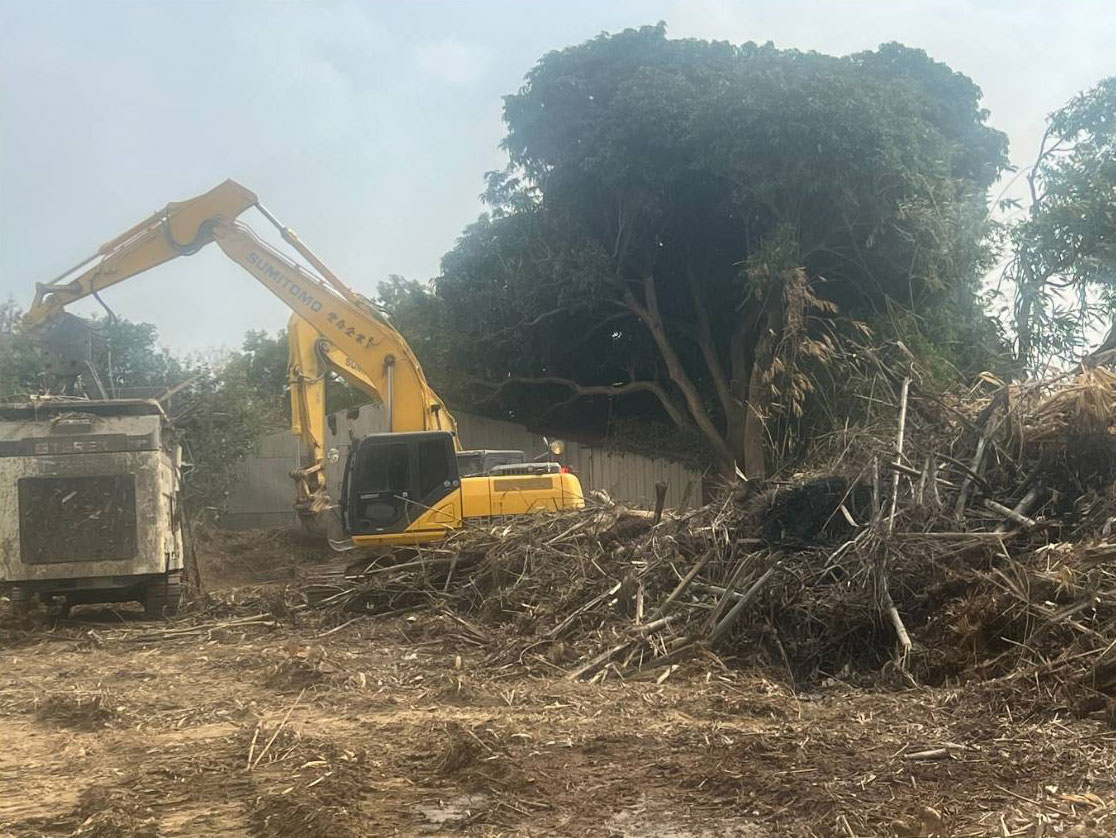 雲林樹枝木破碎